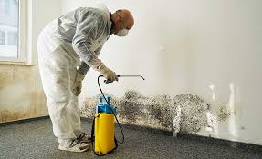 Best Biohazard Mold Removal in Mansfield, PA