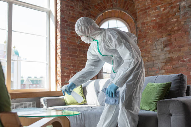 Best Mold Prevention Services in Mansfield, PA