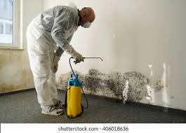 Best Comprehensive Air Testing for Mold Contaminants in Mansfield, PA